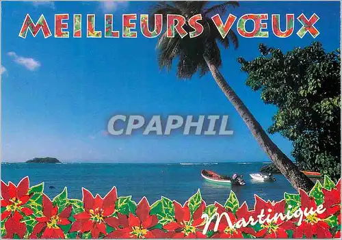 Moderne Karte Martinique Meilleurs Voeux