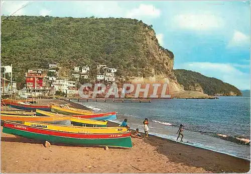 Cartes postales moderne Martinique Bellefontaine village de pecheurs sur la cote caraibe