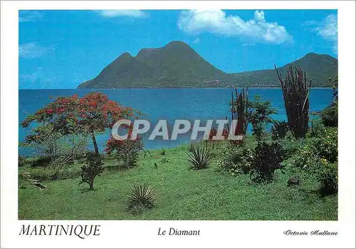 Moderne Karte Martinique Le Diamant