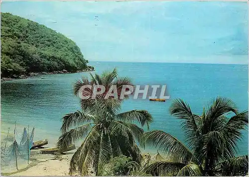 Cartes postales moderne Martinique Petite baie tranquille a l'entree de Fort-de-France