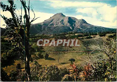 Cartes postales moderne Martinique Des Mornes vue sur la montagne