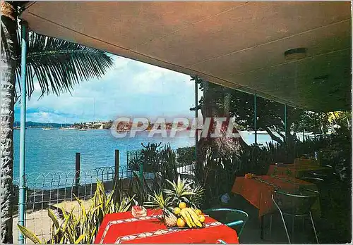 Moderne Karte Martinique Auberge de l'Anse Mitan Trois Ilets Martinique
