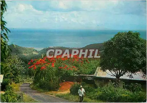 Cartes postales moderne Martinique Paysage du sud de l'Ile Le trou au Diable