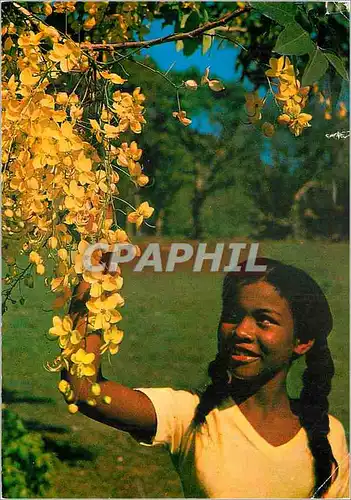 Moderne Karte Martinique L'enfant aux fleurs (caissier)