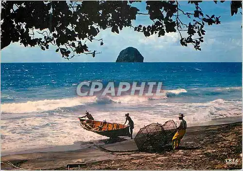 Cartes postales moderne Martinique Pecheurs de langouste au Diamant
