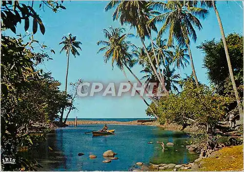 Cartes postales moderne Martinique Paysage en bord de mer