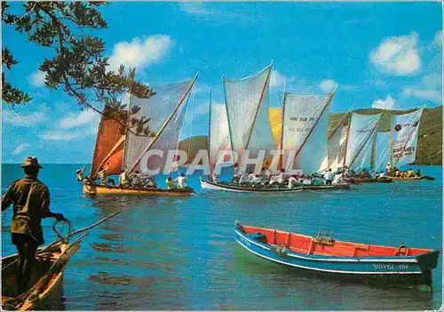 Cartes postales moderne Martinique Course de yoles rondes en baie du Marin Bateaux