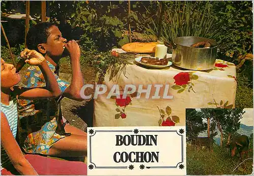 Cartes postales moderne Martinique Cuisine antillaise Le Boudin cochon