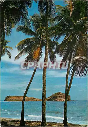 Cartes postales moderne Martinique Sainte-Marie L'ilet de Sainte-Marie