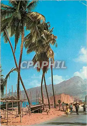 Cartes postales moderne Martinique Plage du Cabaret et Montagne Pelee