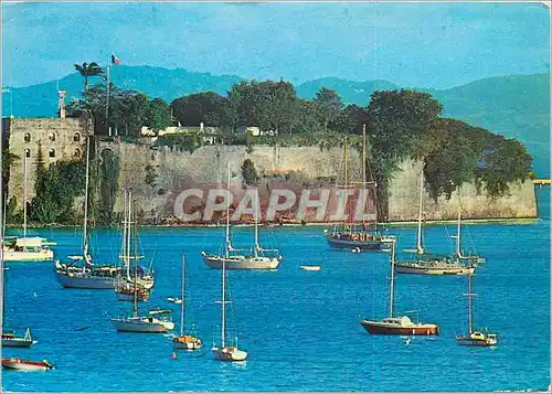 Cartes postales moderne Martinique Fort-de-France Plaisanciers devant le Fort St-Louis Bateaux