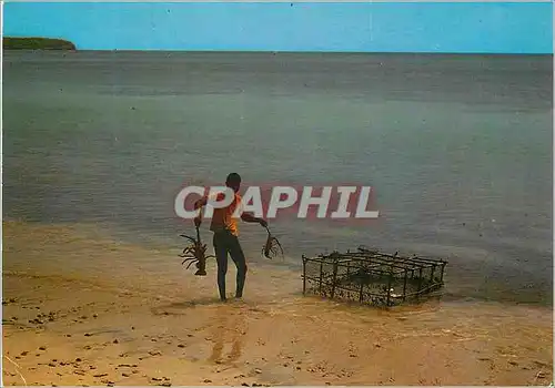 Moderne Karte Martinique Saint-Anne Des langoustes pour le restaurant