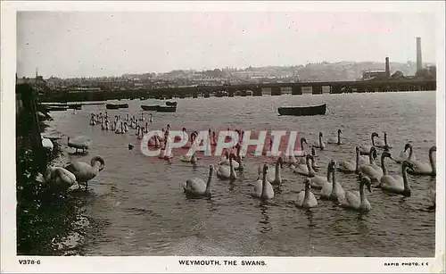 Cartes postales Weymouth The Swans