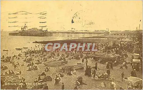 Cartes postales Brighton The Beach