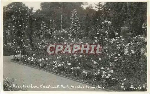 Ansichtskarte AK The Rose Garden Chalkwell Park Westcliff on Sea