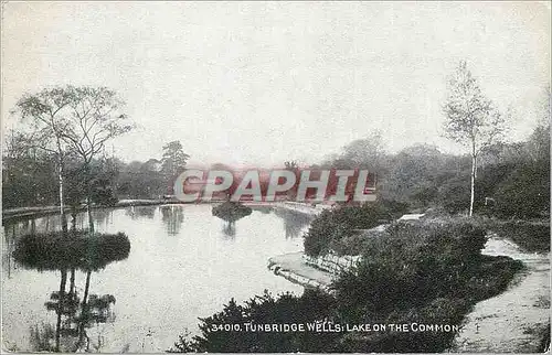 Cartes postales Tunbridge wells lake on the common