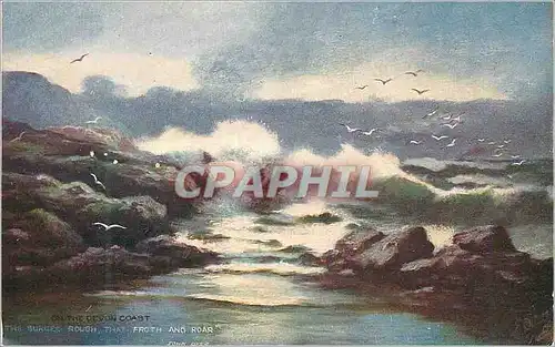 Cartes postales On the devon coast