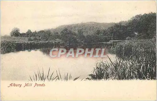 Cartes postales Albury mill ponds