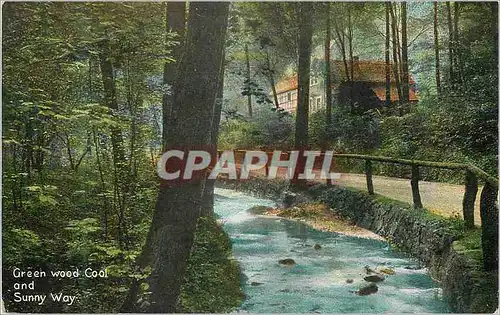 Cartes postales Green wood cool and sunny way