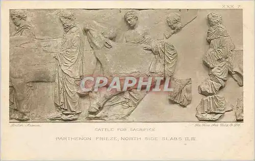 Cartes postales Cattle for sacrifice parthenon frieze south side slabs II III