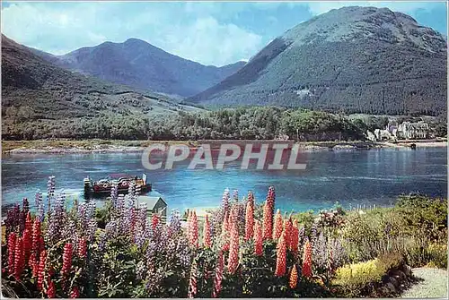 Cartes postales moderne Ballachulish ferry scotland