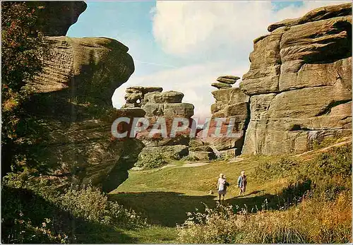 Cartes postales moderne Brimham rocks harrogate north yokshire