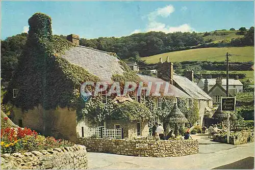Cartes postales moderne The mason's arms branscombe