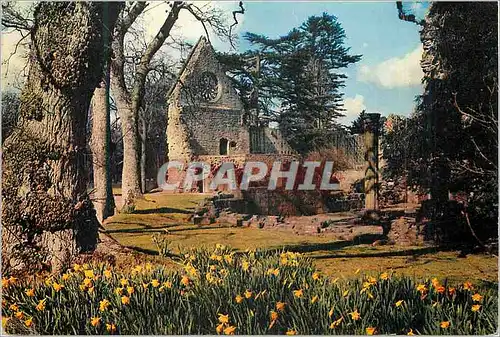 Cartes postales moderne Springtime at dryburgh abbey on the river tweed