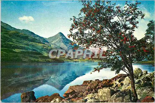 Cartes postales moderne Rowan time at loch leven with the rap pap of glencoe in the distance