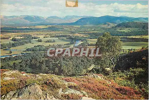 Cartes postales moderne Looking to the larig ghur and braeriach from graigellachie hill above avienmore scotland