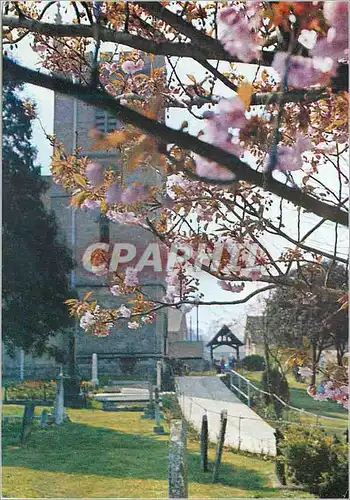 Cartes postales moderne St Martin's Church Bladon Oxfordshire