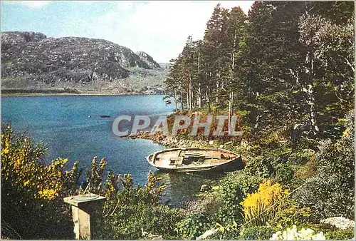 Cartes postales moderne Loch Ewe from Inverewe Garden Wester Ross