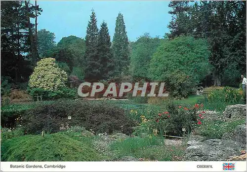 Cartes postales moderne Botanic Gardens Cambridge