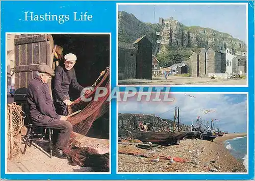 Cartes postales moderne Hastings Life