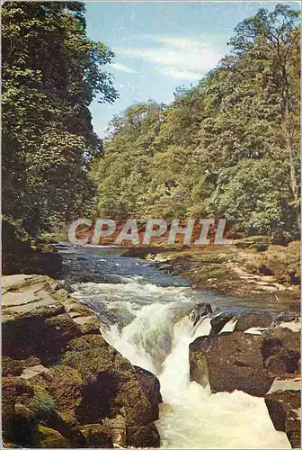 Cartes postales moderne The Strid Yorkshire