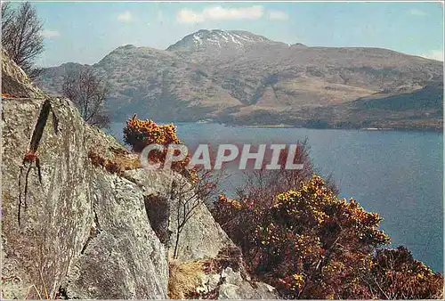 Cartes postales moderne Ben Lomond for Loch Lomond Dunbartonshire
