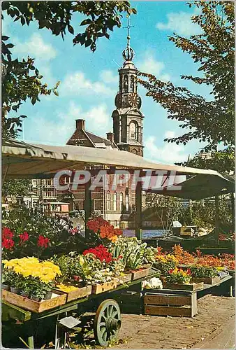 Cartes postales Amsterdam Holland Le marche aux fleurs sur Singel sour le vieux clocher de la Tour de la Monnaie