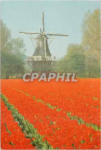 Moderne Karte Holland