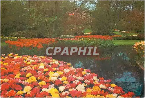 Cartes postales moderne Holland