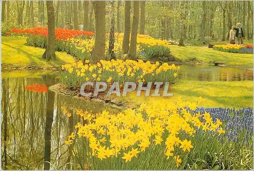 Cartes postales moderne Holland