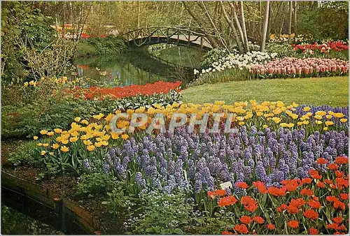 Cartes postales moderne Holland