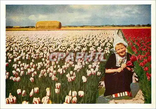 Moderne Karte Holland