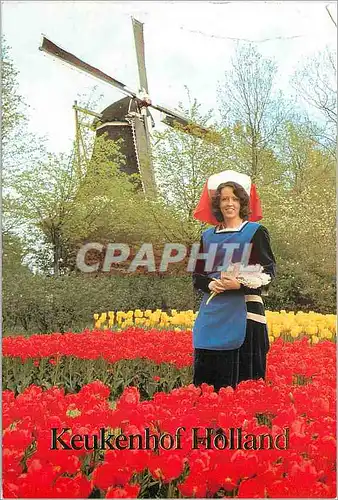 Cartes postales moderne Keukenhof Lisse Holland