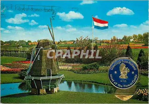 Cartes postales moderne Holland Land of Flowers and wind mille