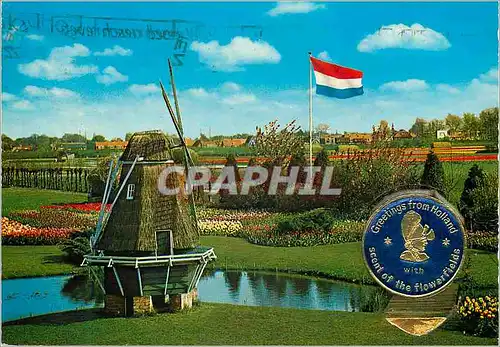 Moderne Karte Holland Land of Flowers and wind mille