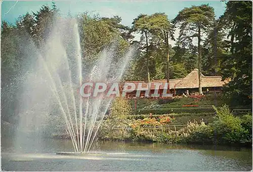 Cartes postales moderne Berg en Bos Apeldoon Fontijin met restaurant