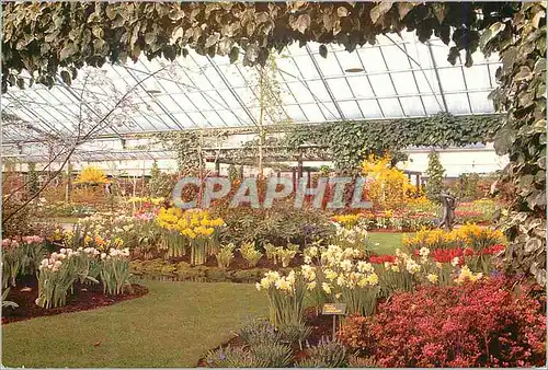 Cartes postales moderne Keukenhof Lisse Holland