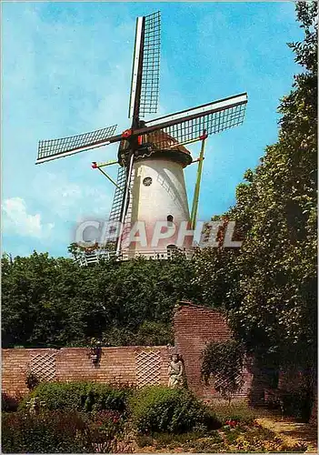 Moderne Karte Rhenen Holland Panoramamolen Type Round brick mill with a reefling stage Moulin a vent