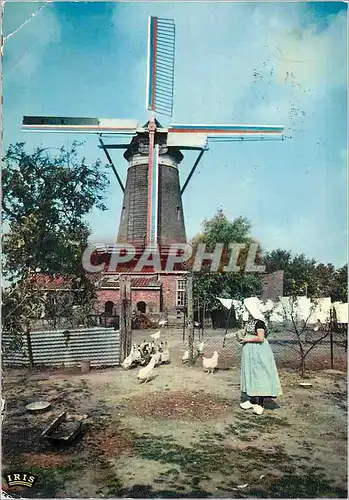 Cartes postales moderne Zeeland Hollande Molen Windmill Moulin a vent