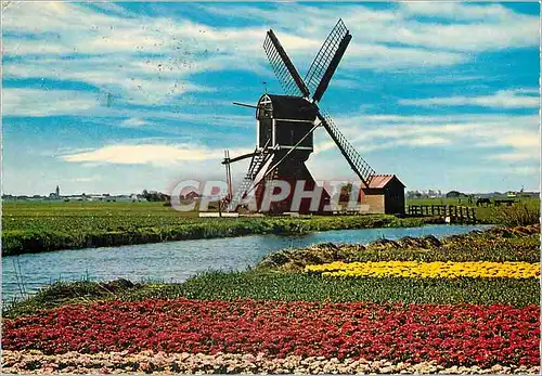 Cartes postales moderne Holland Land of Flowers and Windmill Moulin a vent